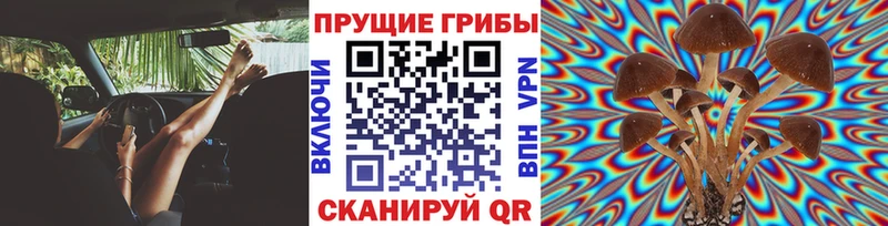 Псилоцибиновые грибы ЛСД  Новомичуринск 